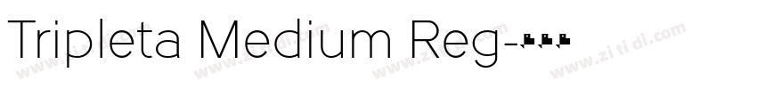 Tripleta Medium Reg字体转换 Tripleta Medium Reg字体转换